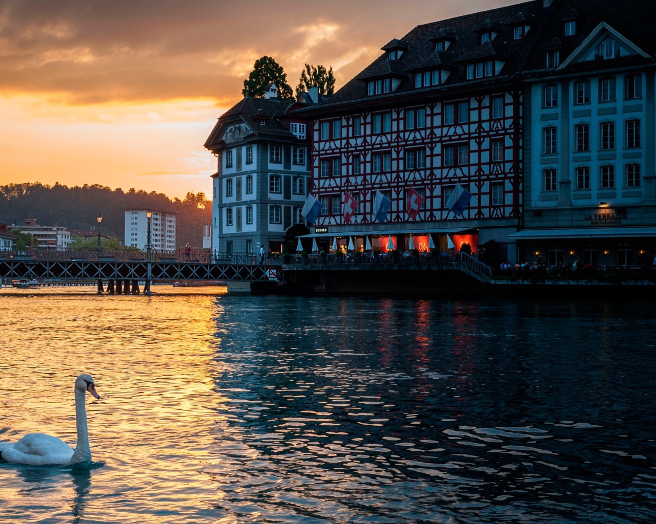 Лебедь на озере, Швейцария