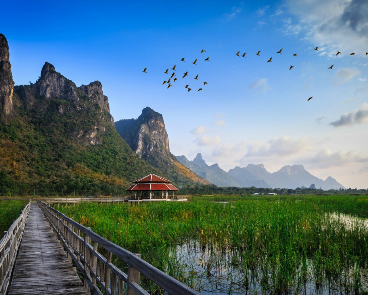 Заболоченная местность в Таиланде