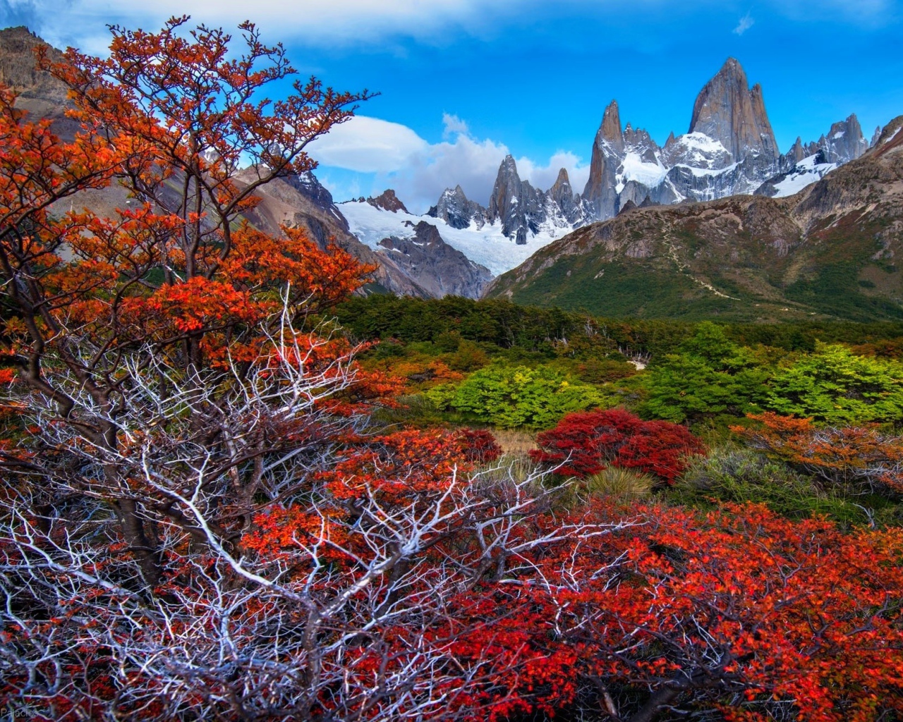 Красочная местность Патагония