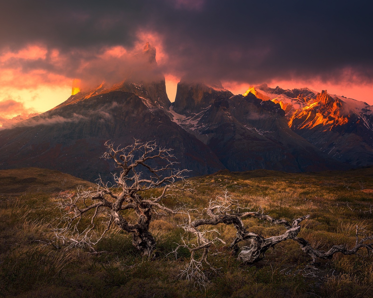 Гористая местность Патагония