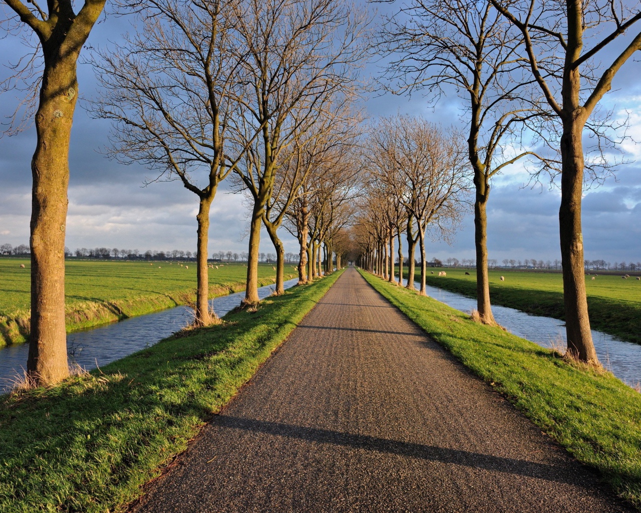 Дорога и аллея между двух каналов