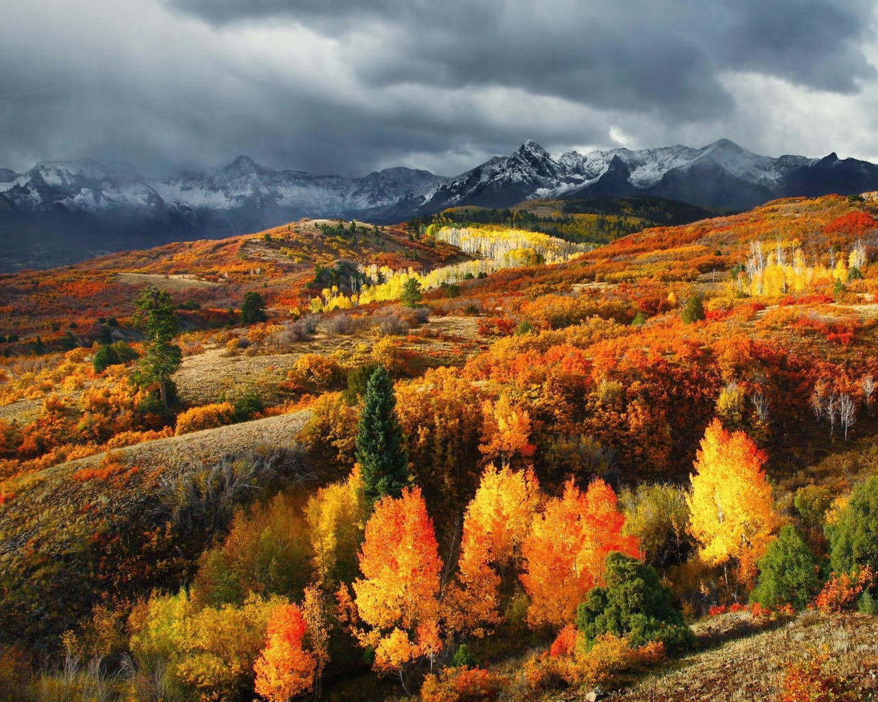 Осень в горах Колорадо, США