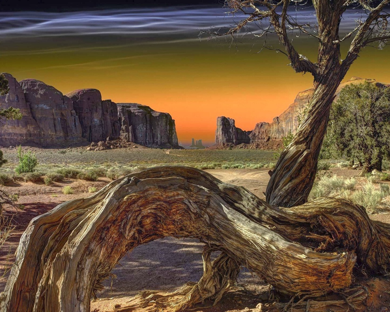 Сухое дерево в Долине монументов, США