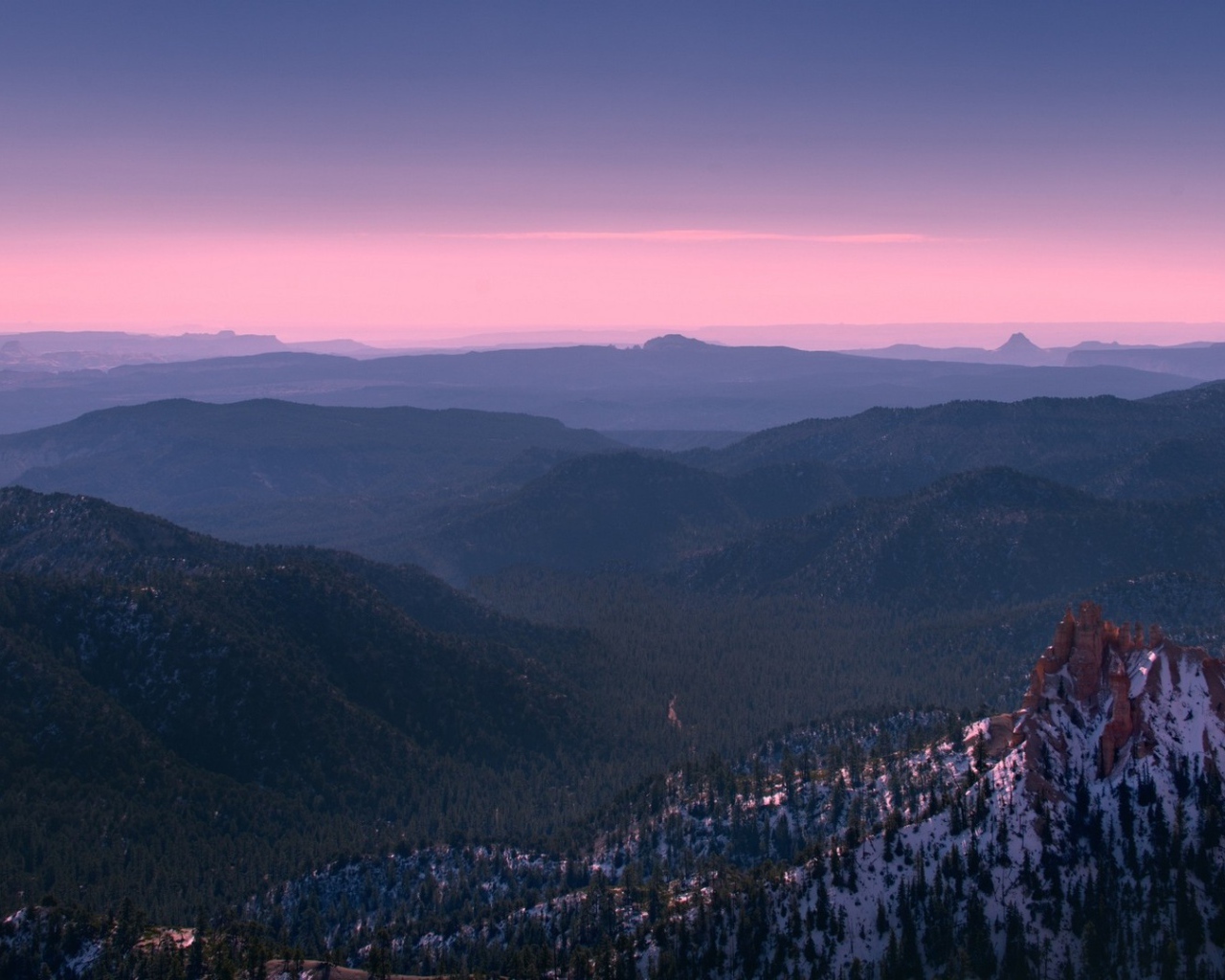 Покрытый лесом каньон Брюса в Юте