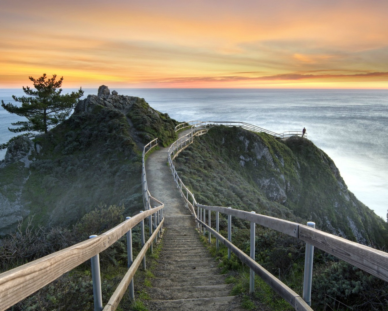 Милл Вэлли, Калифорния, США