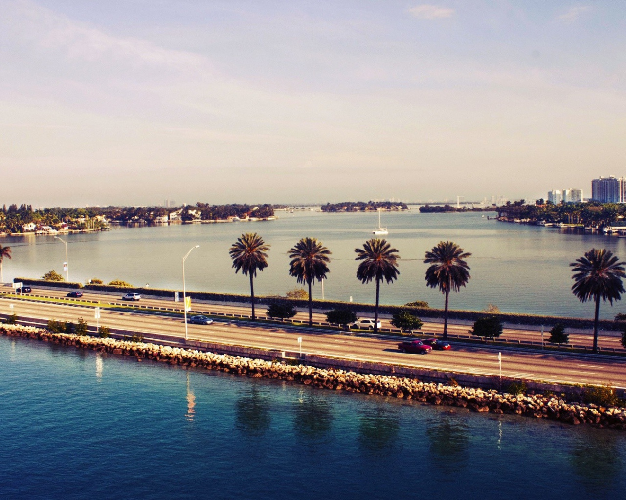 Пальмы у шоссе в Майами