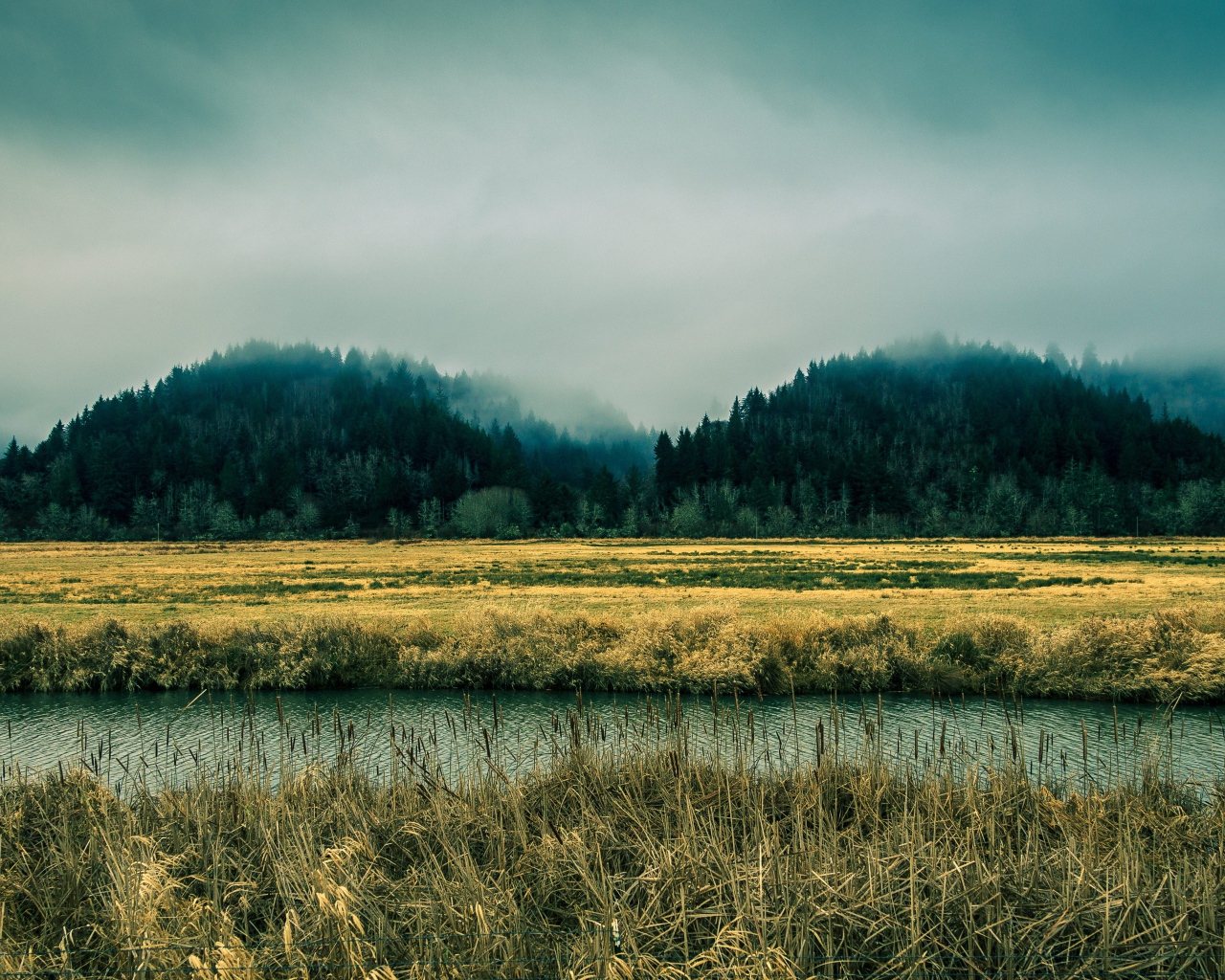 Река в болотистой местности, Орегон