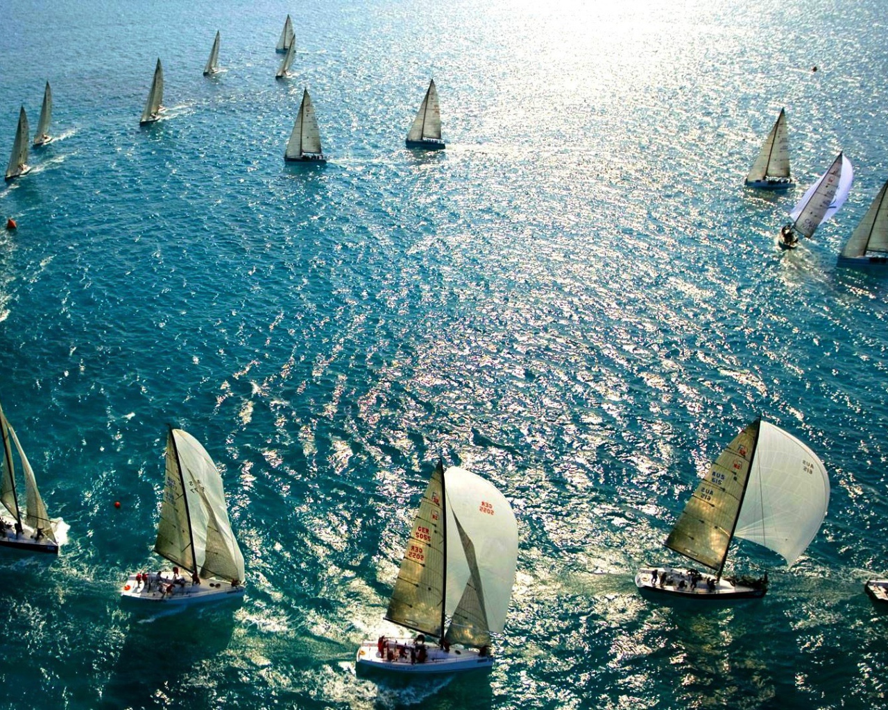 Парусные гонки во Флориде