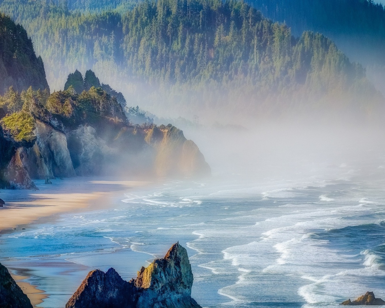 Лесистые горы на берегу в Орегоне