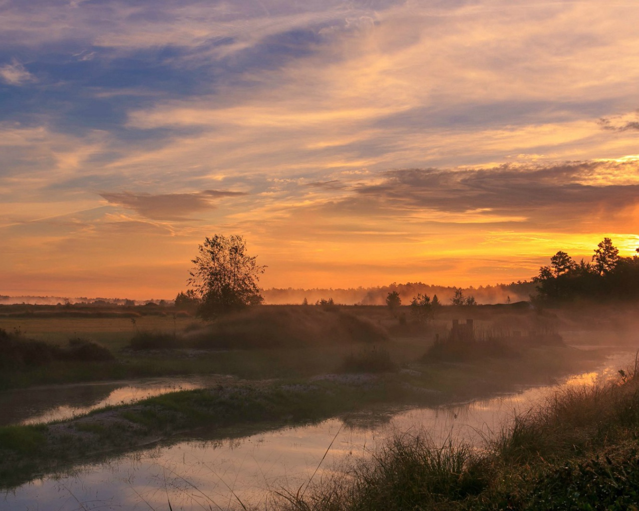 Woodland Park, Нью-Джерси, США