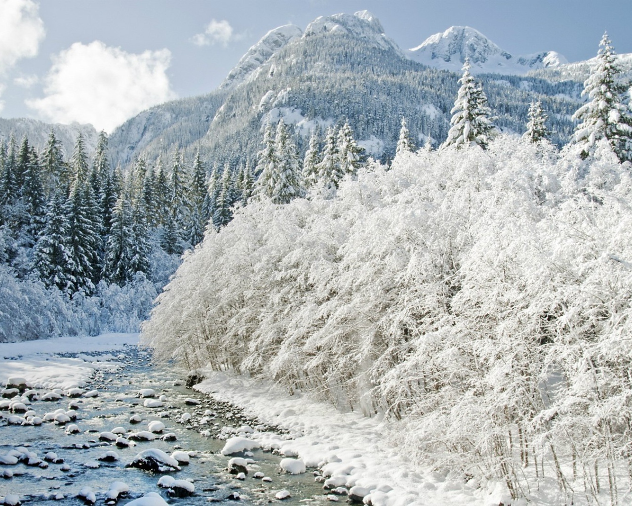 Йеллоустонский Национальный Парк , США