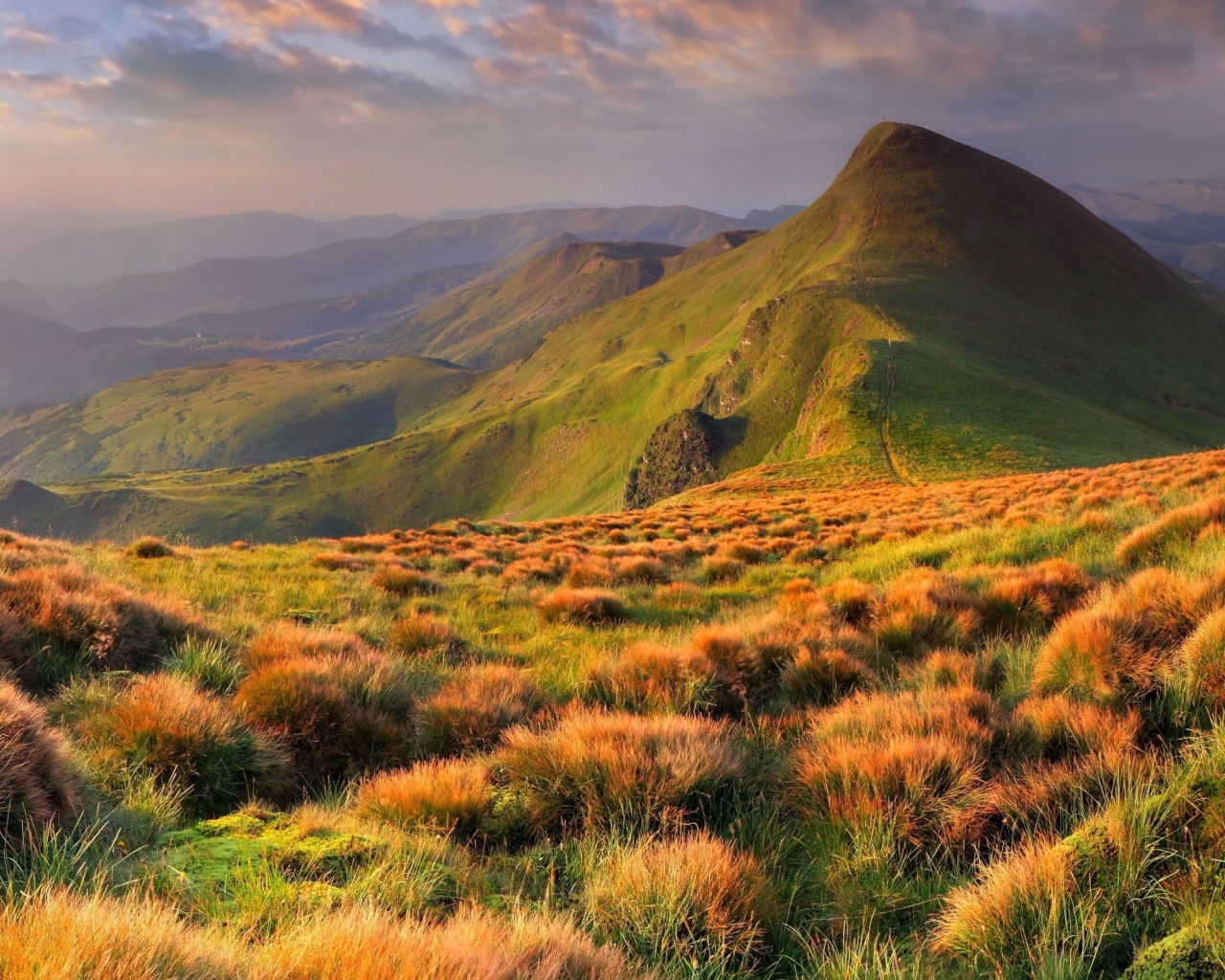 Красивый горный пейзаж в Украине