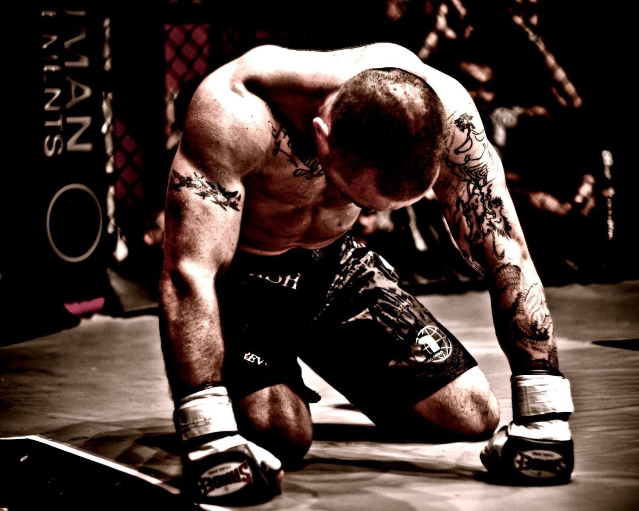 Боксер стоит на коленях на ринге