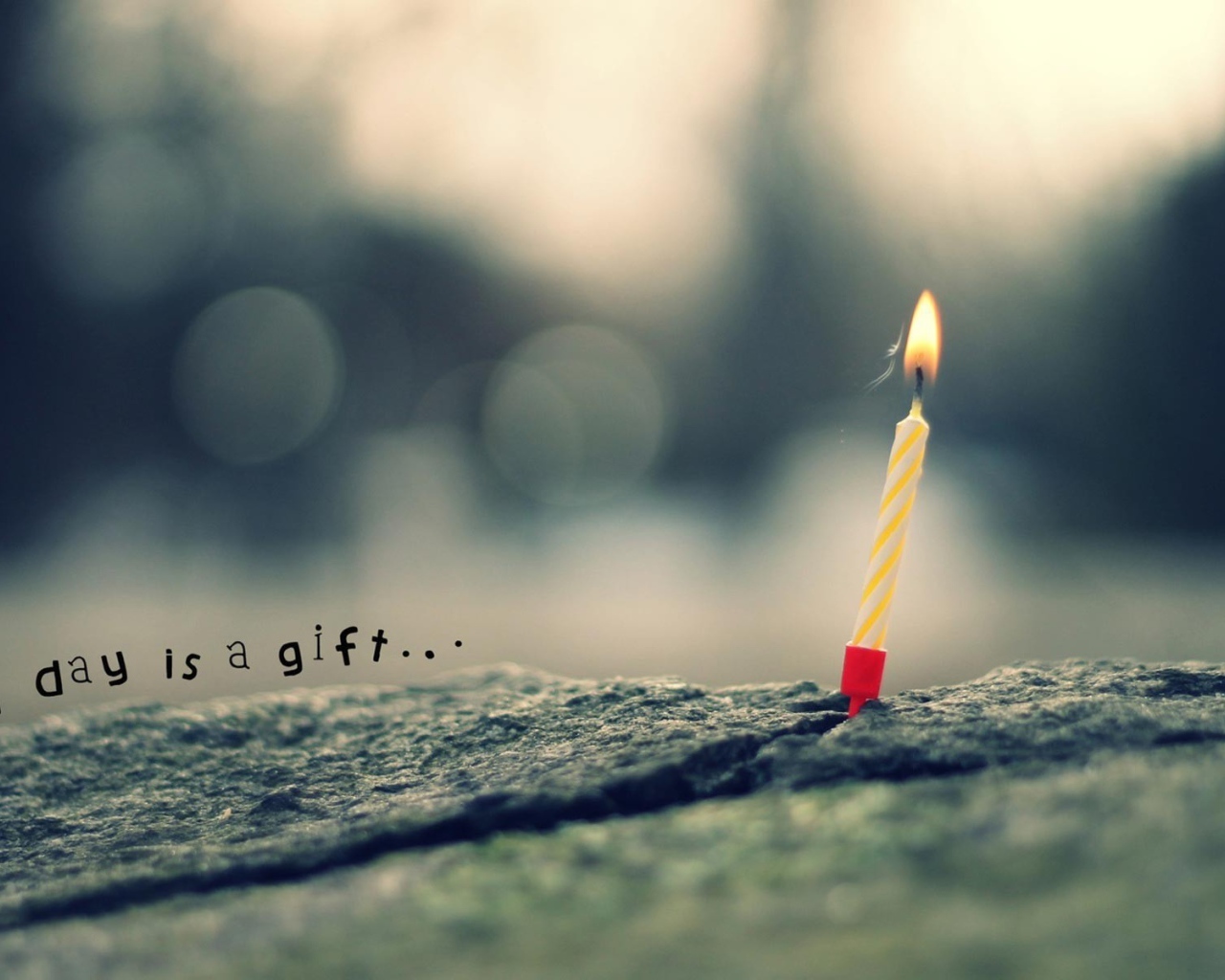 Каждый день это подарок