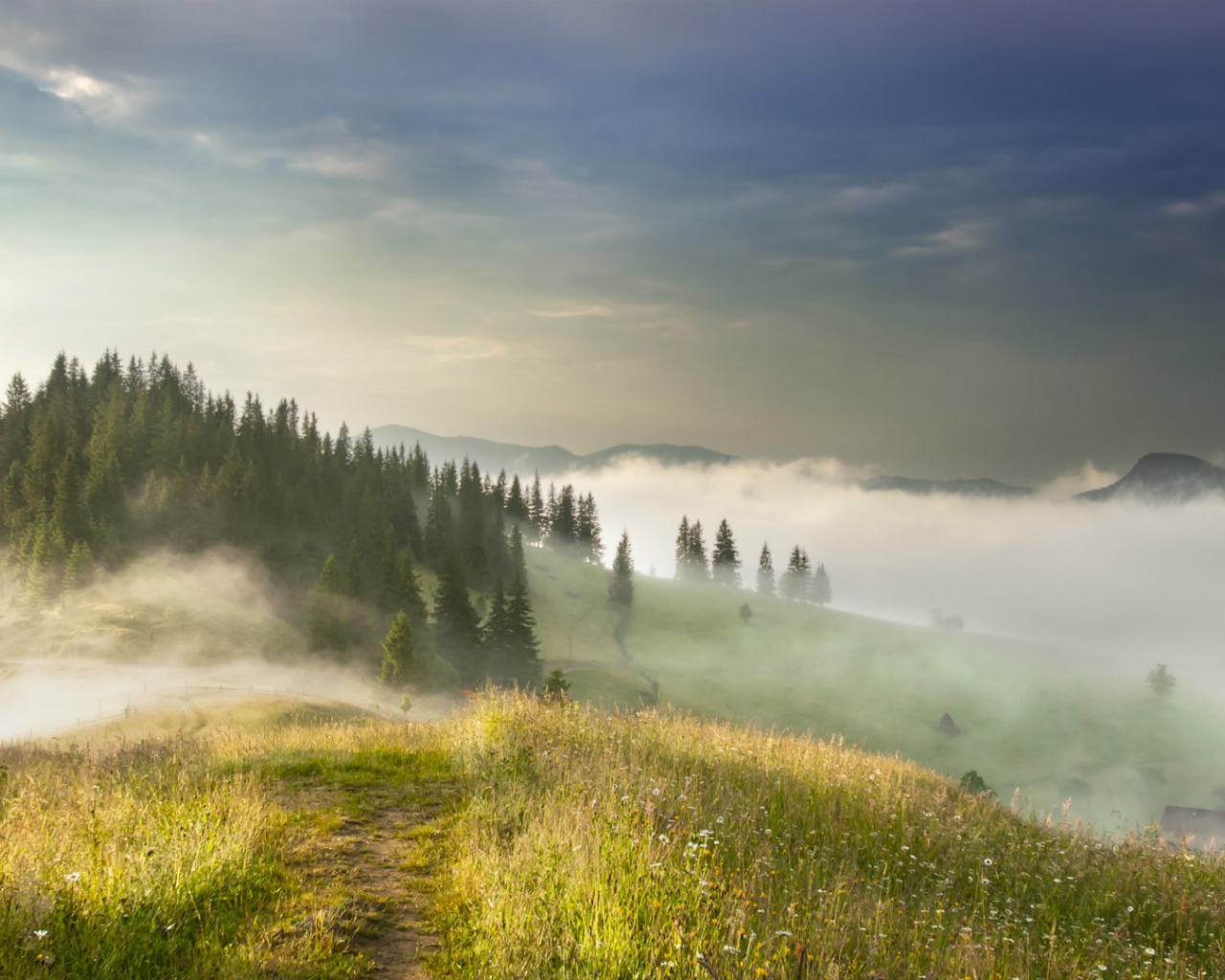 Туман в Карпатах, Украина
