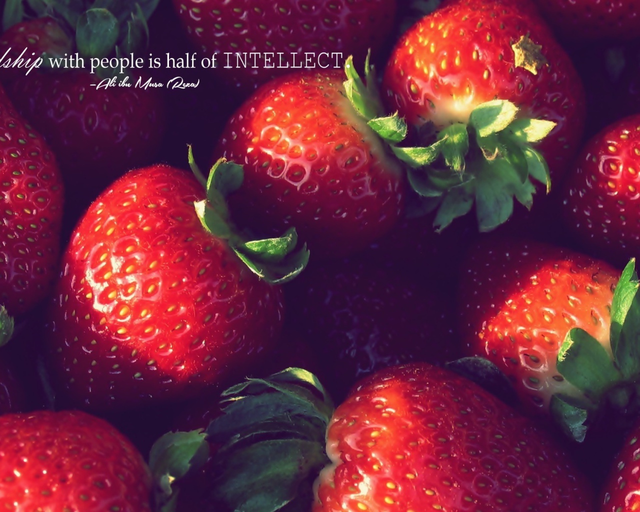 Дружелюбие, это часть интеллекта