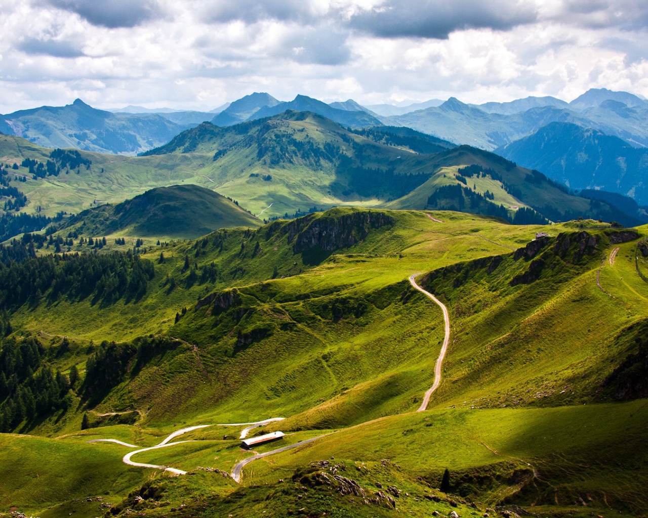 Зеленые склоны гор Карпат