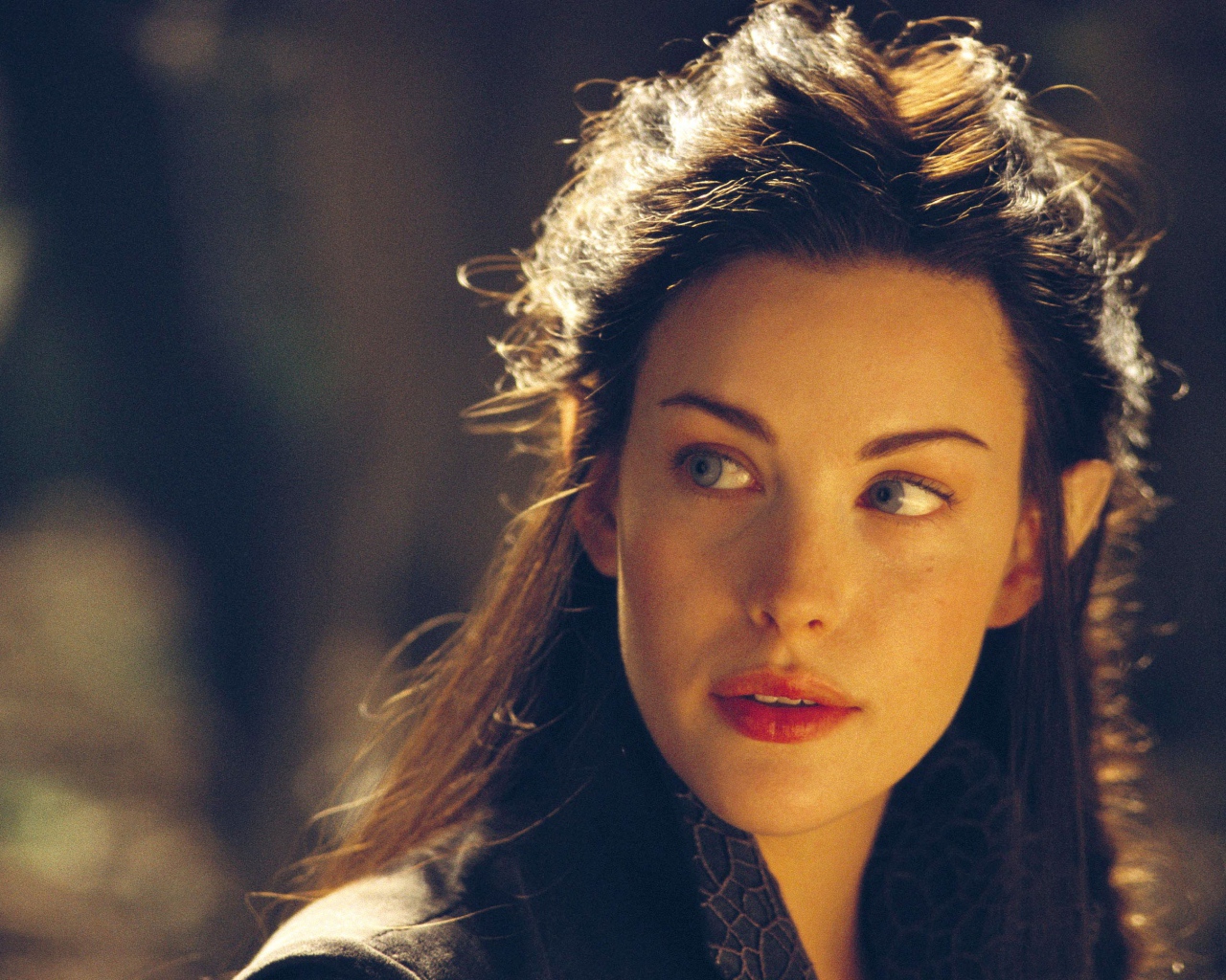 Лив Тайлер в роли Арвен, Властелин колец