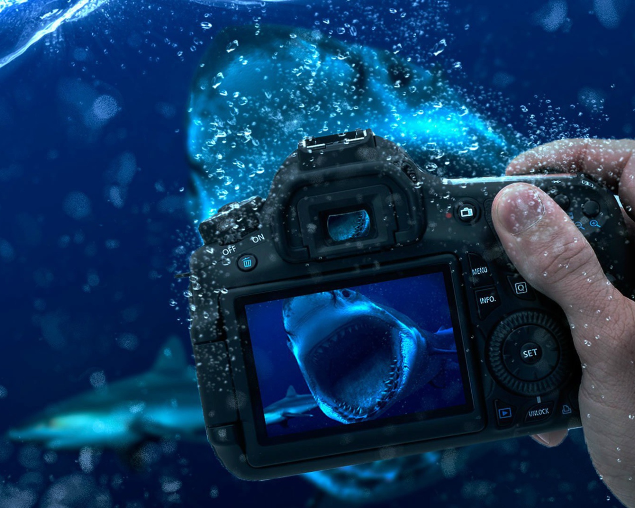 Занятие подводной фотографией