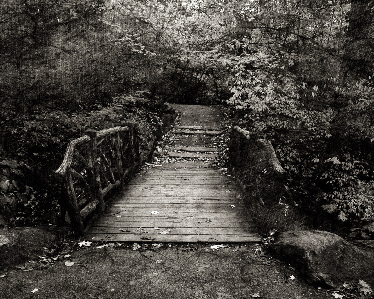 Эффект холста на черно белом фото