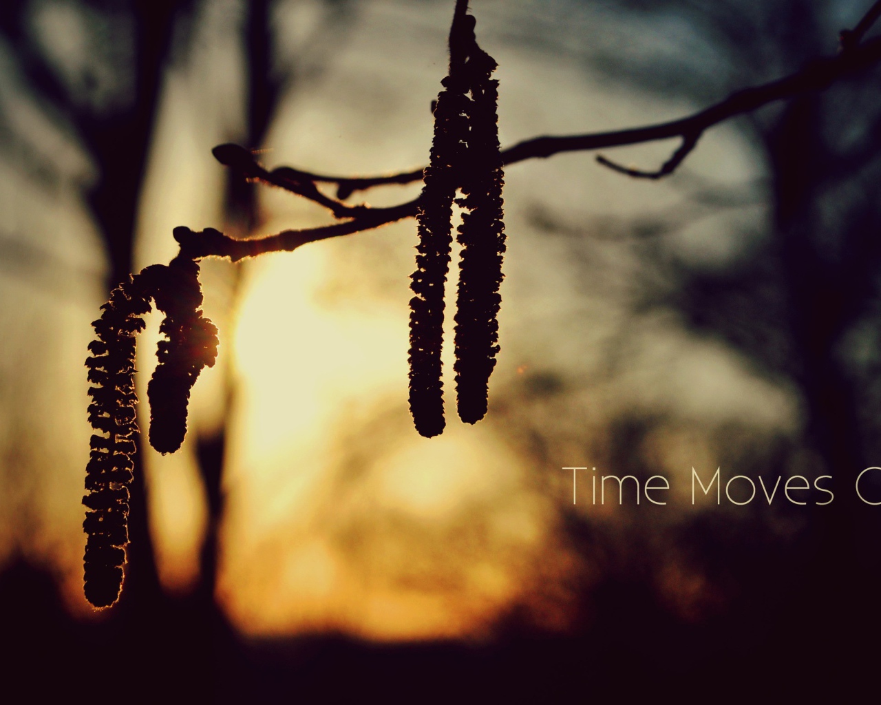 Время идет вперед