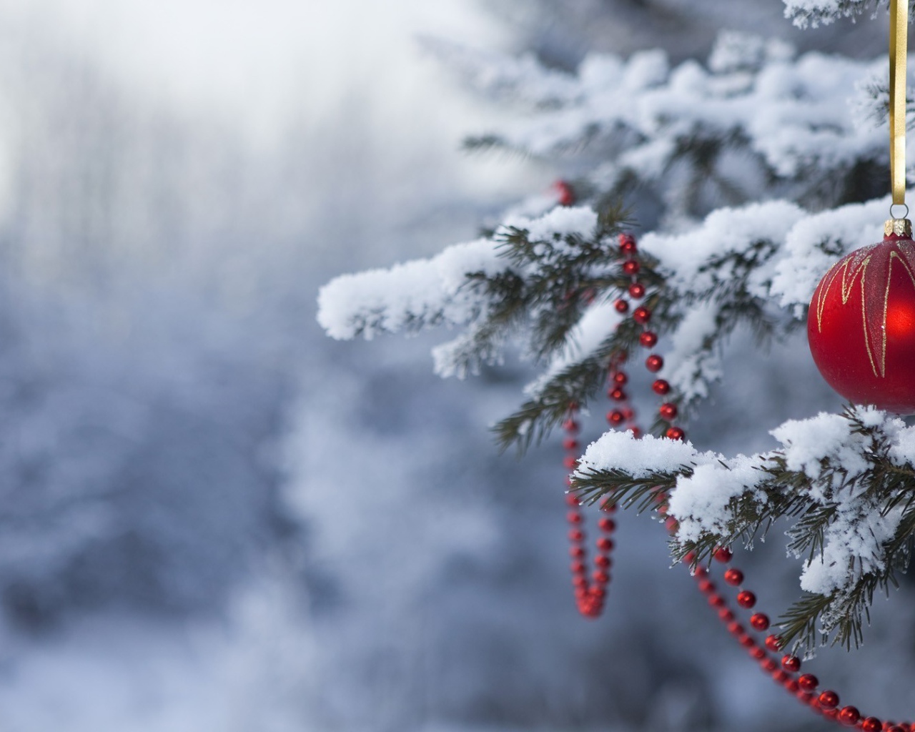 Шар на елке в лесу на Новый год 2017