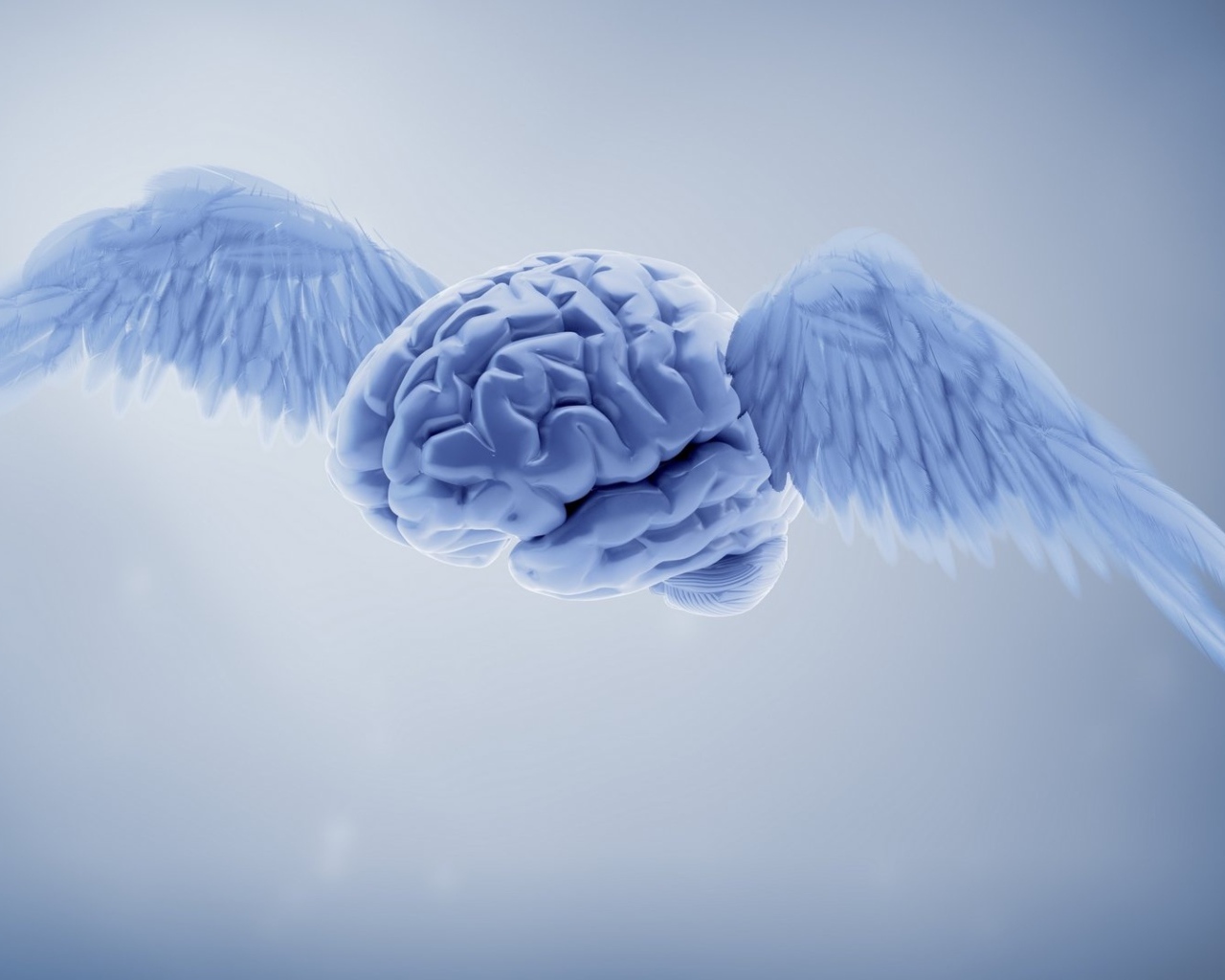 Мозг с крыльями на сером фоне 3д графика