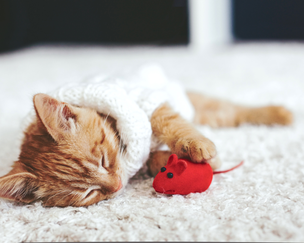 Маленький рыжий котенок спит с игрушечной мышкой