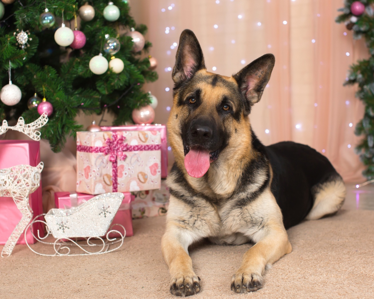 Немецкая овчарка с высунутым языком под елкой, С Новым 2018 годом собаки 