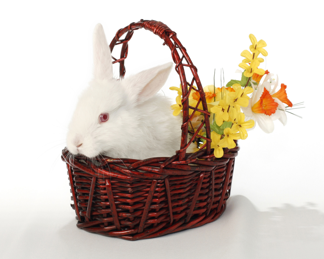 Белый кролик в корзине с цветами на белом фоне