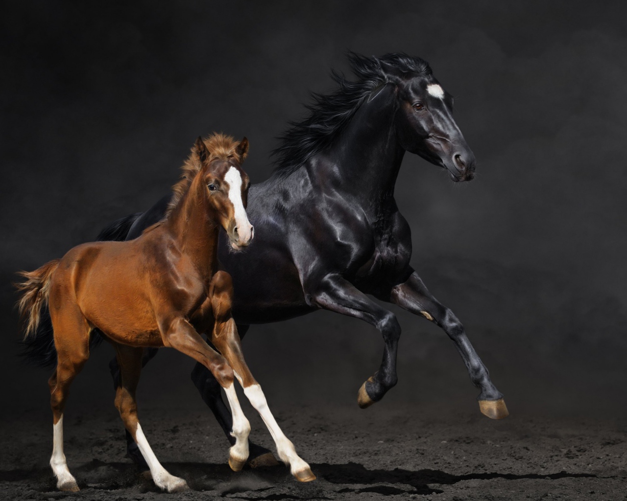 Две бегущие лошади 