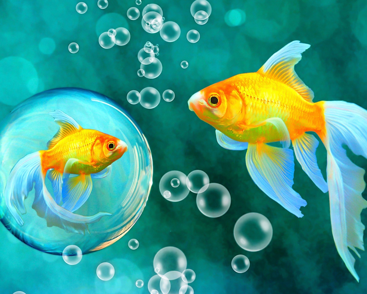 Красивые золотые рыбки под водой 