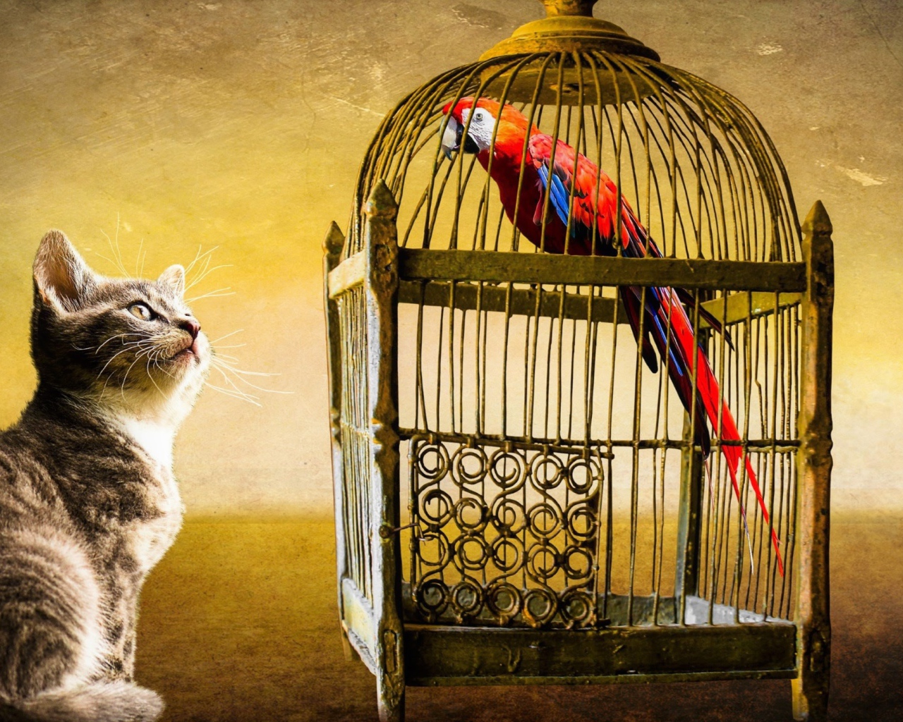 Любопытный котенок смотрит на клетку с попугаем
