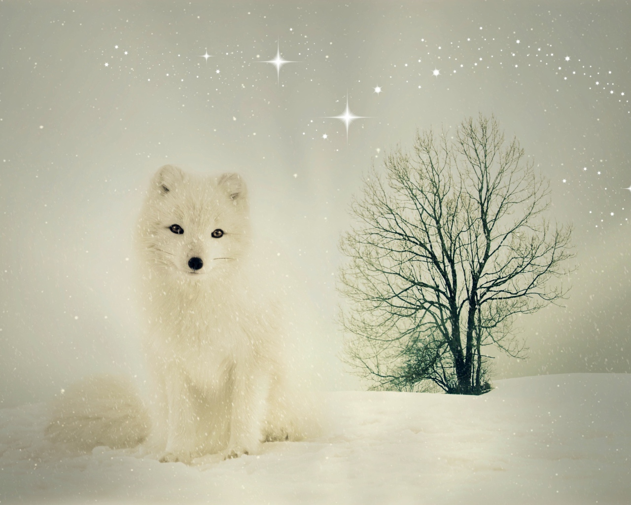 Белый песец сидит на снегу у сухого дерева