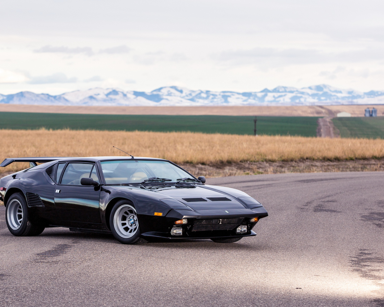 Черный быстрый автомобиль De Tomaso Pantera на фоне поля
