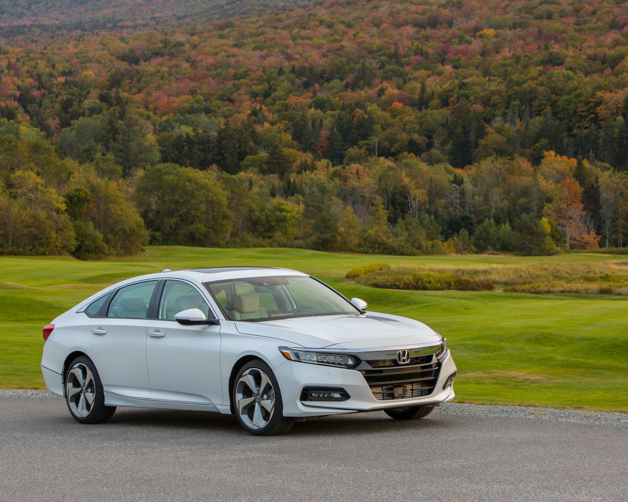 Белый автомобиль Honda Accord на фоне леса