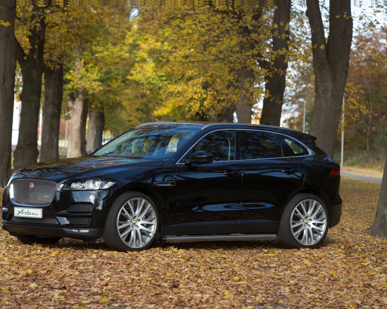 Черный автомобиль  Jaguar F-PACE стоит в парке