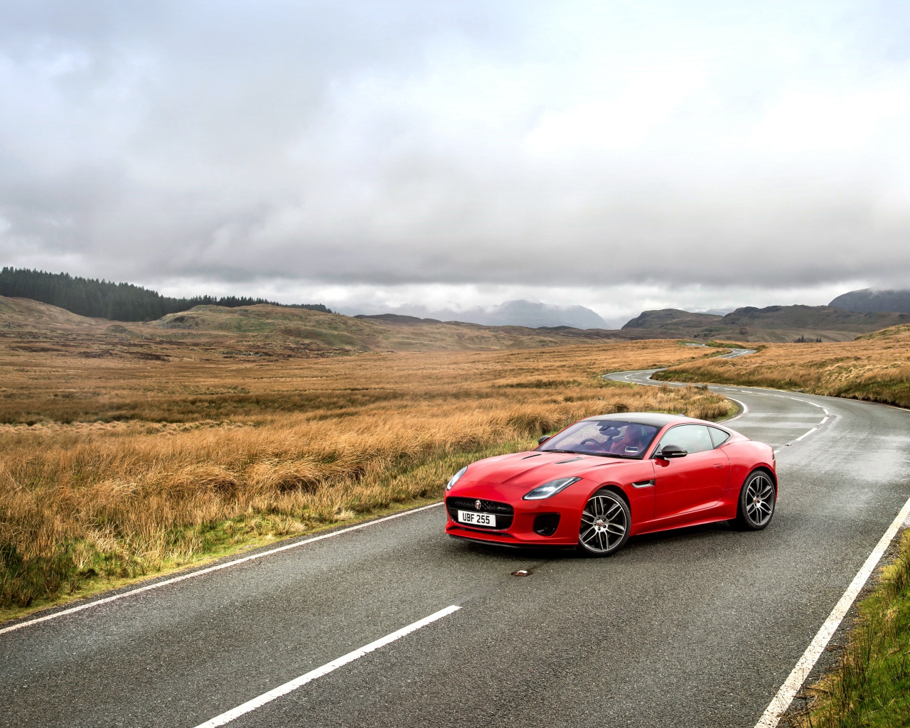 Красный автомобиль  Jaguar F-Type на трассе