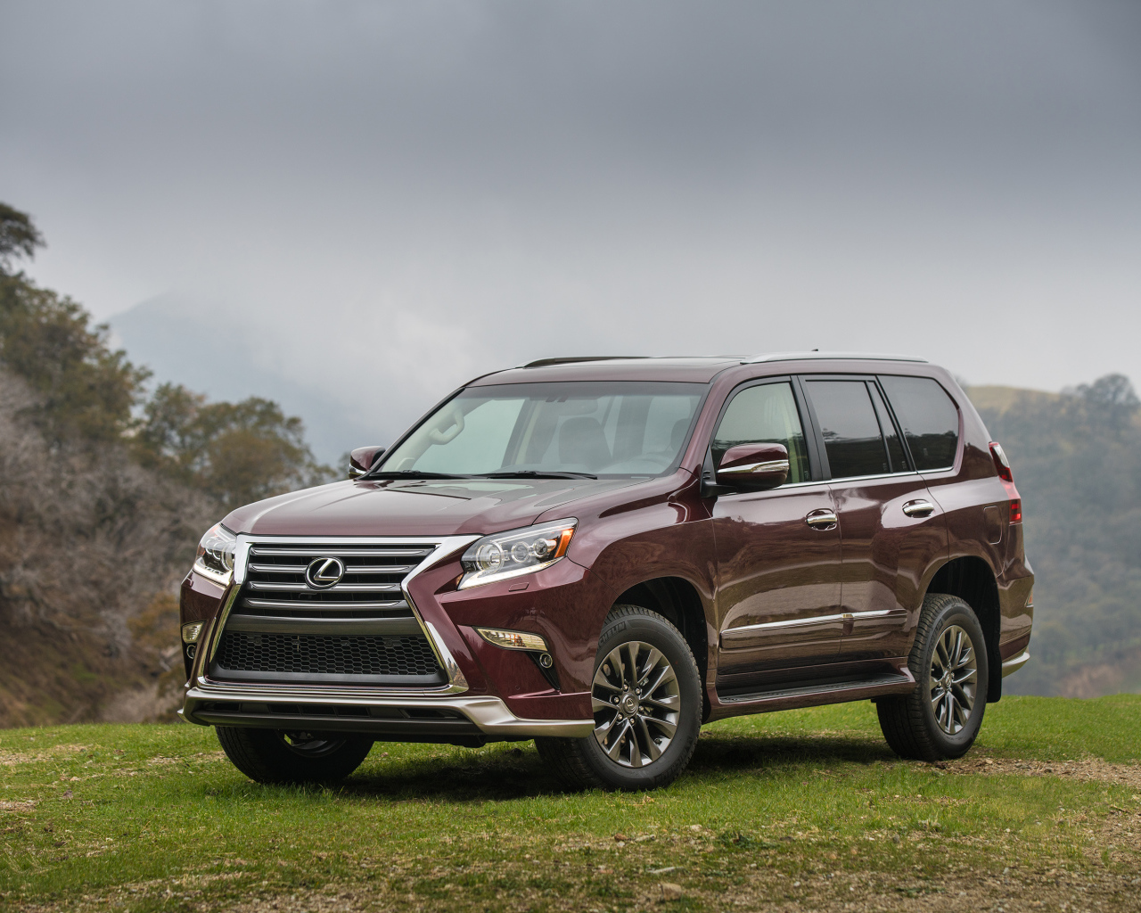 Коричневый японский автомобиль внедорожник Lexus GX 460, 2017 