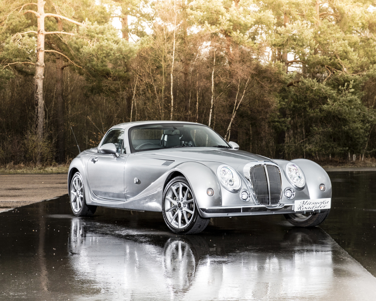 Серебристый автомобиль  Mitsuoka Roadster