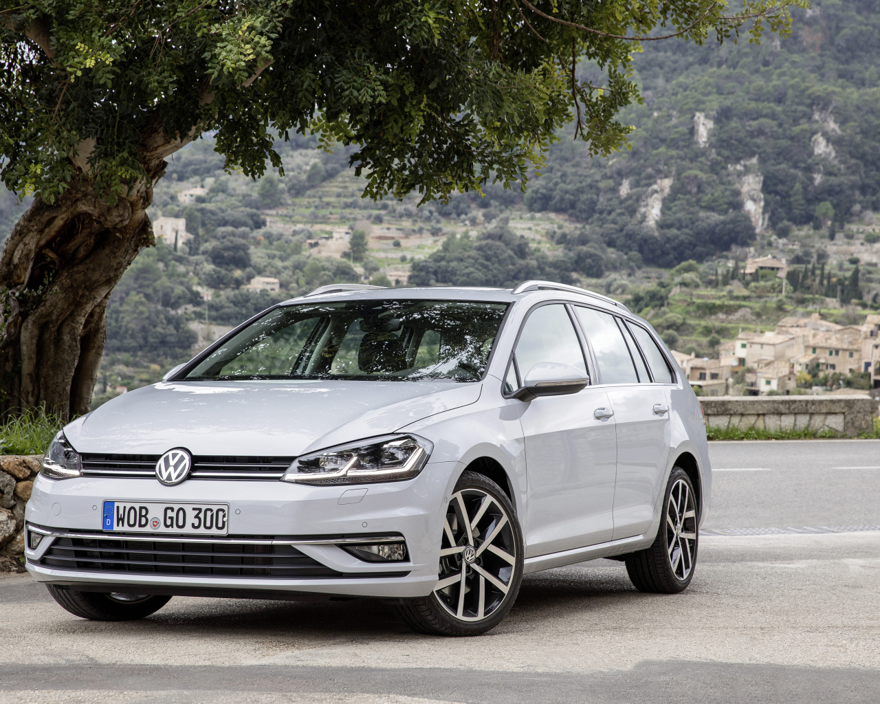 Серебристый Volkswagen Golf TDI Variant Worldwide (Typ 5G), 2017 под деревом 
