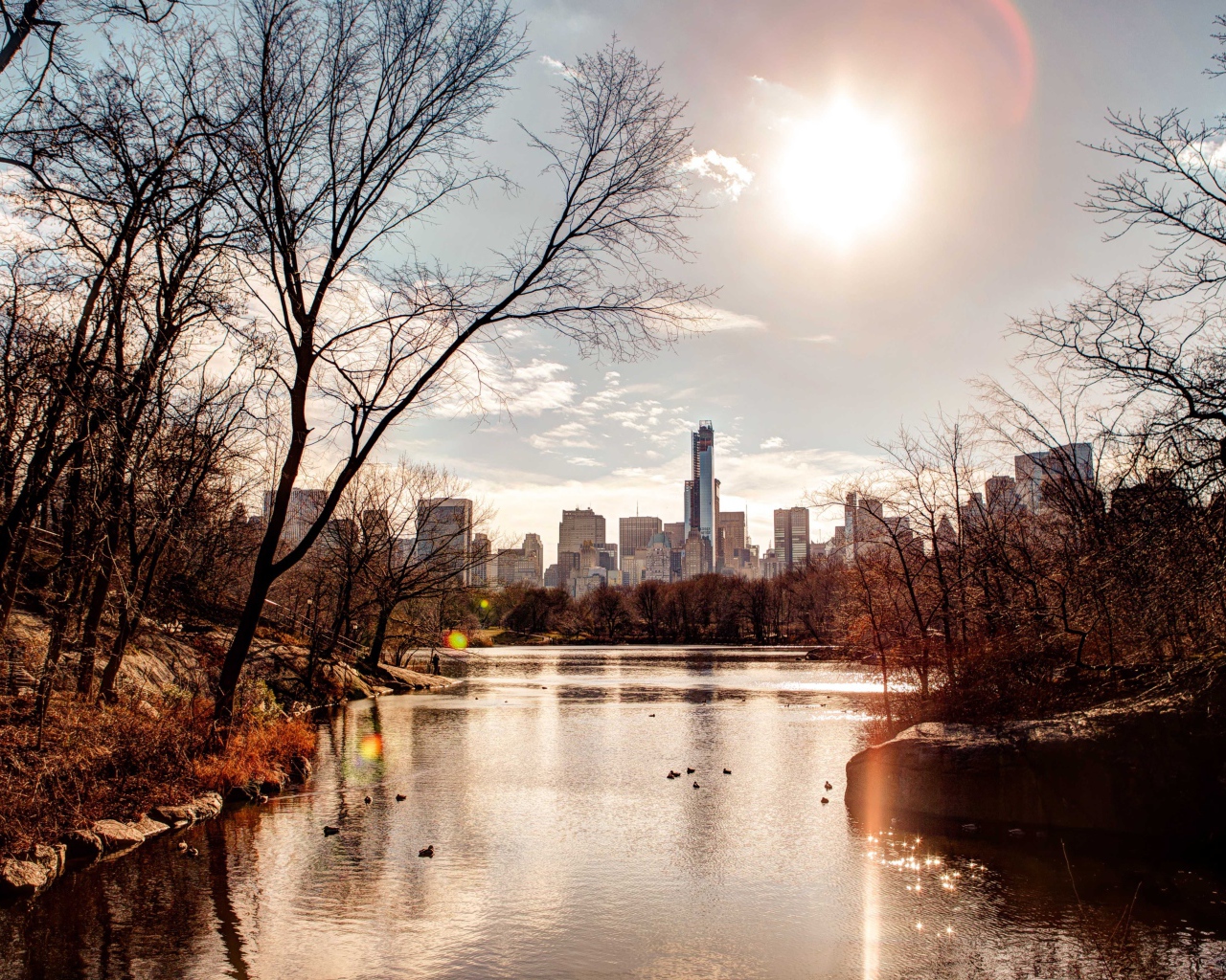Вид на небоскребы из  городского парка 