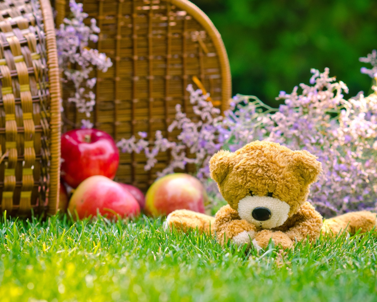 Мягкая игрушка медвежонок Тедди сидит на зеленой траве с корзиной яблок