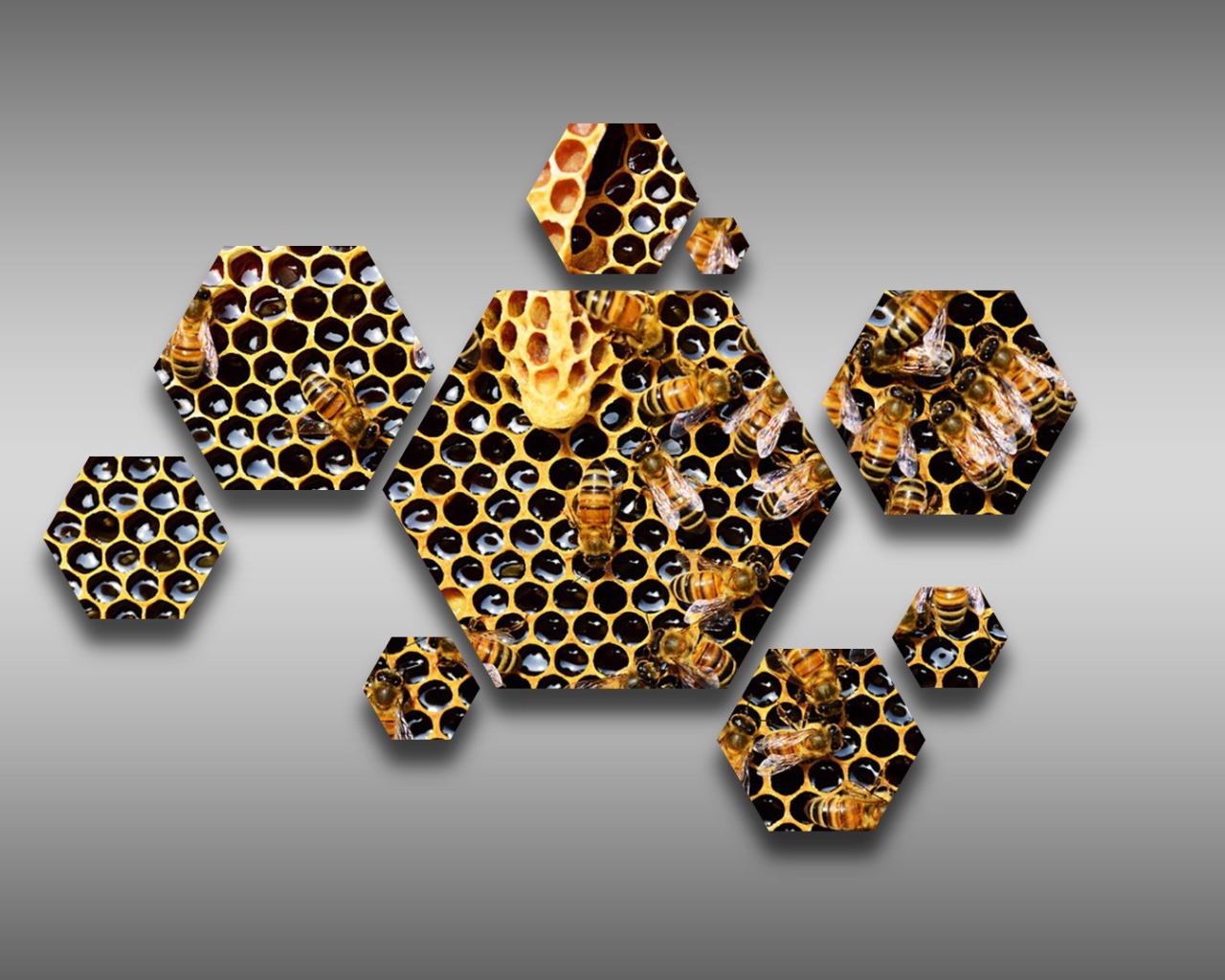 Шестиугольные соты с пчелами на сером фоне  