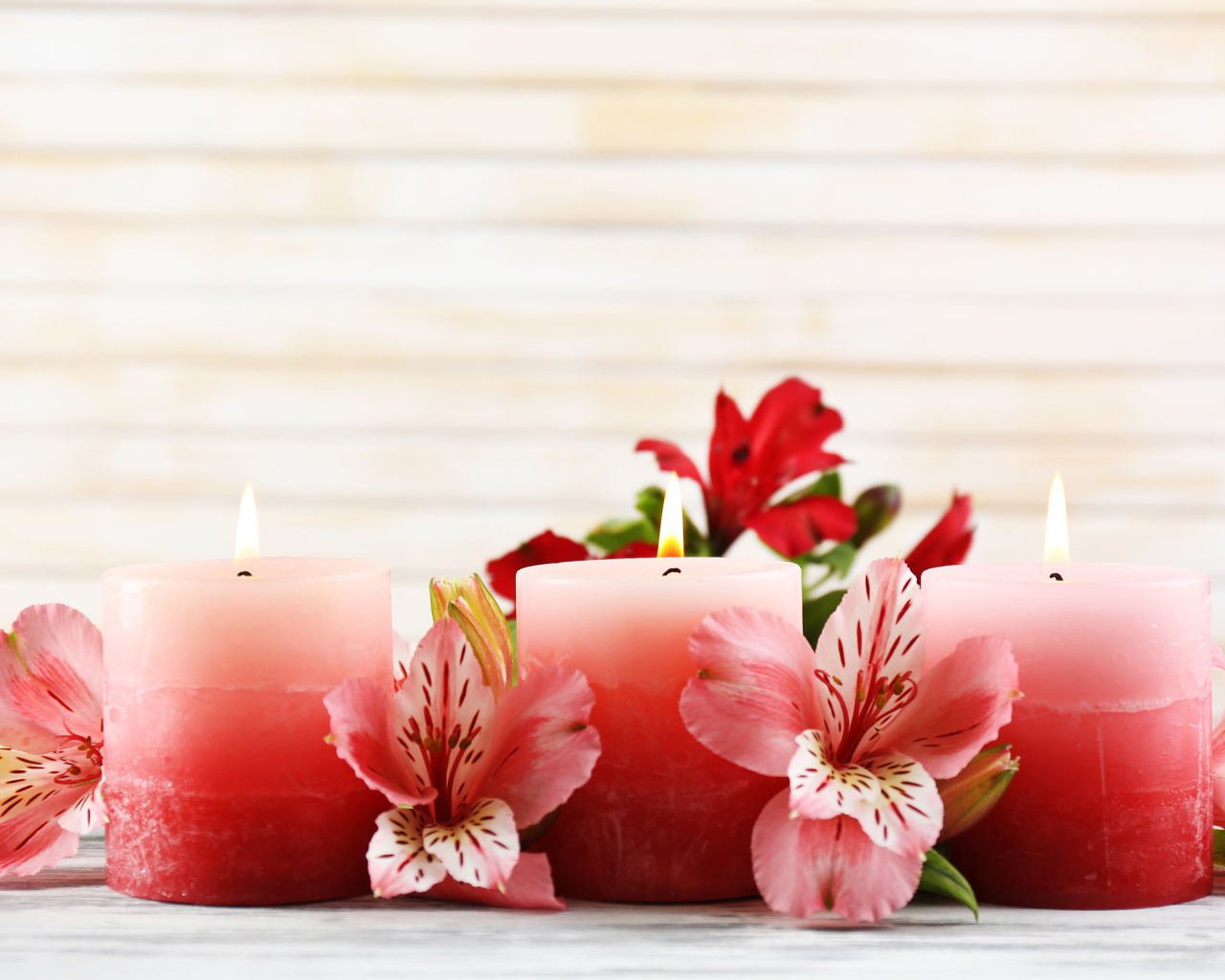 Три розовых свечи с цветами амариллиса
