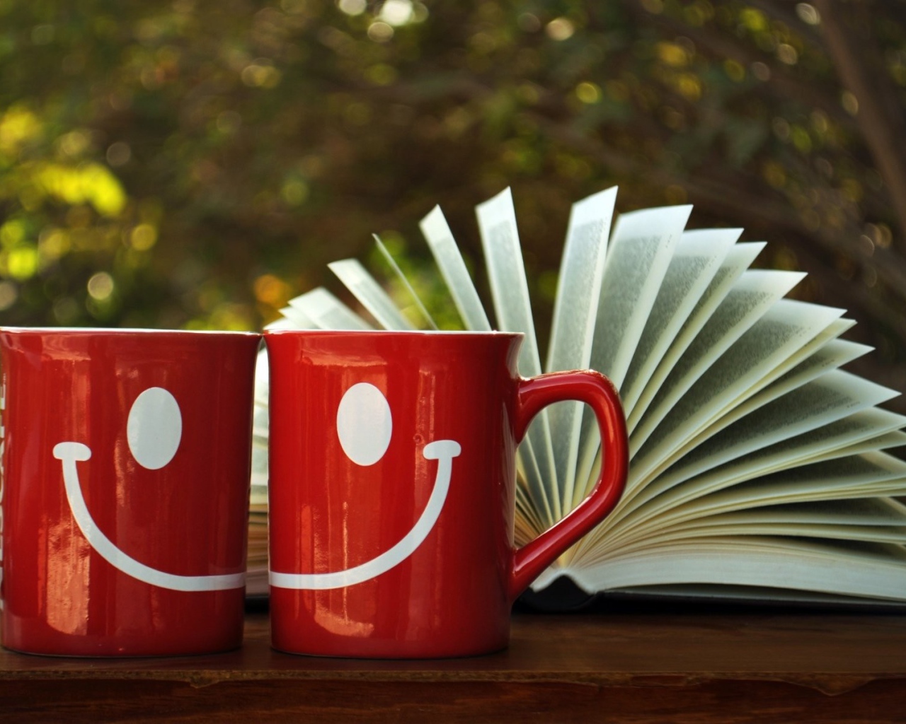 Две забавные красные чашки с книгой 