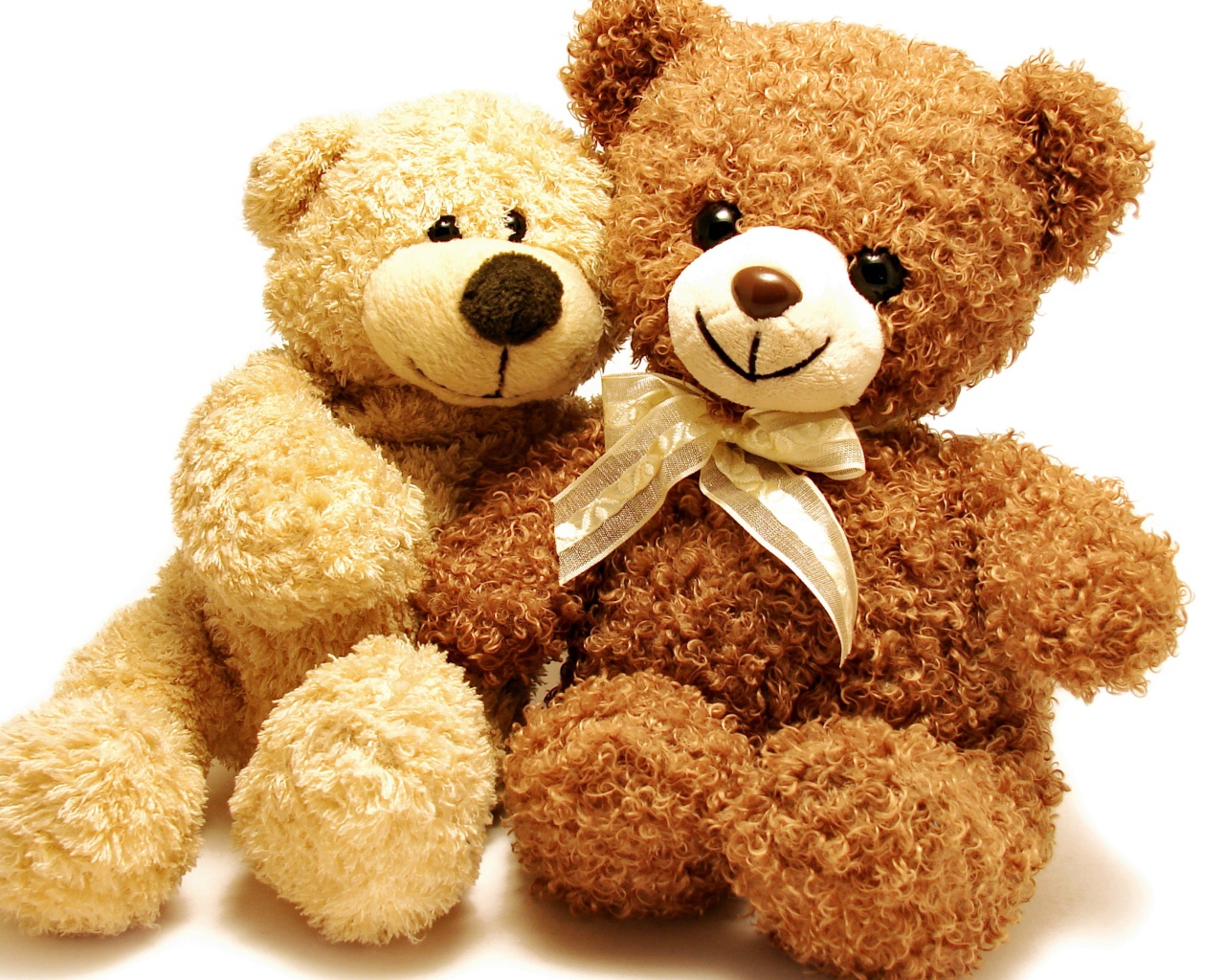 Два плюшевых медвежонка на белом фоне