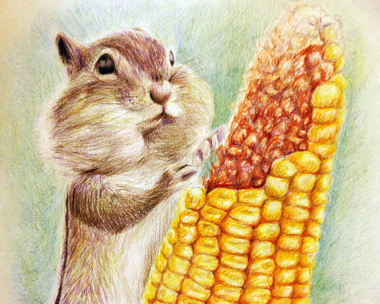 Нарисованный бурундук с кукурузой