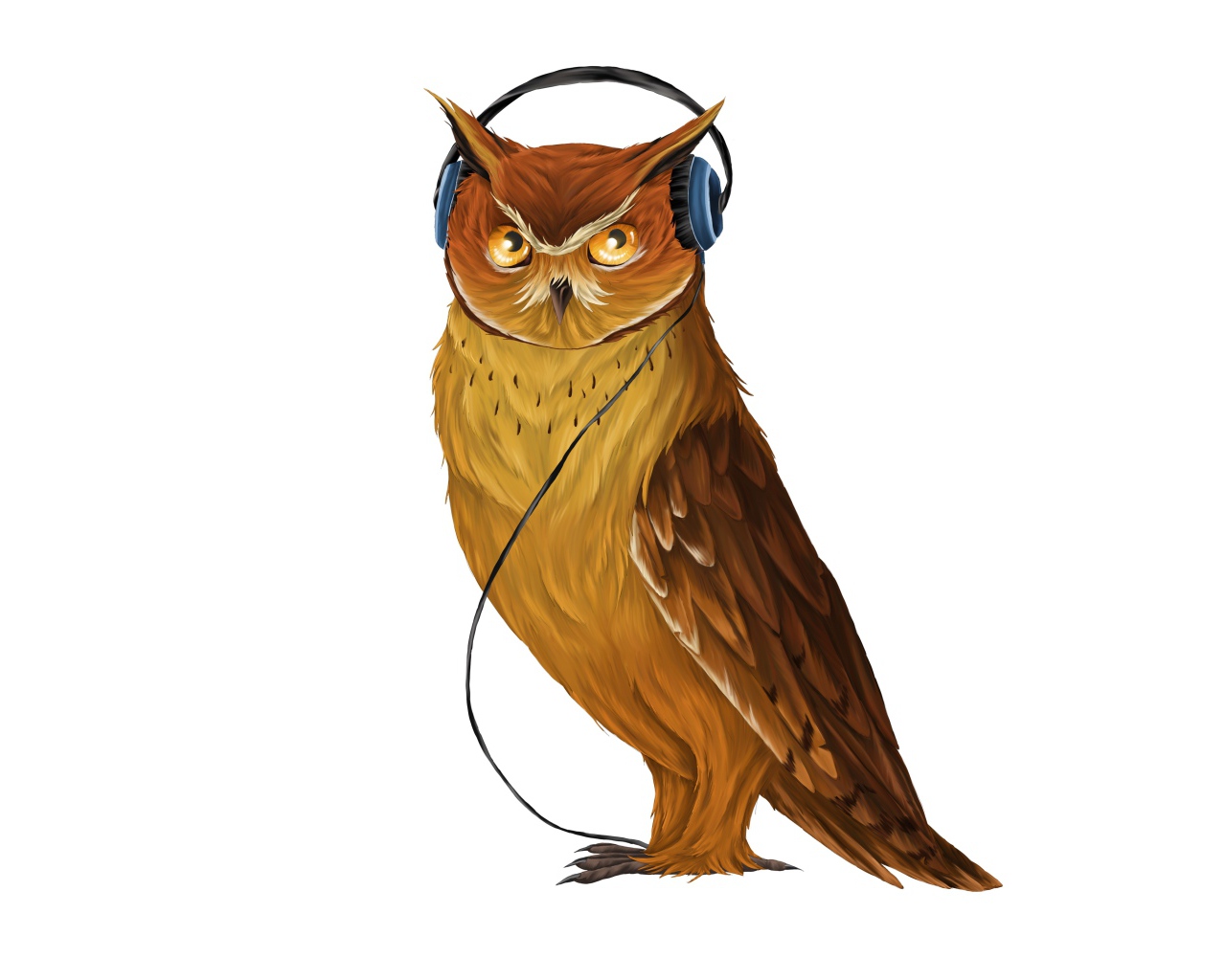 Нарисованная сова в наушниках  на белом фоне