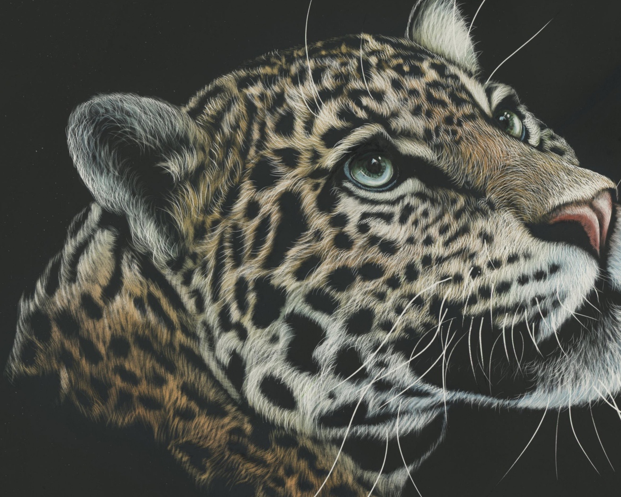 Нарисованная морда леопарда